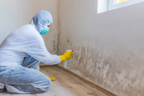 Mold inspector in Kennedyville performing thermal imaging