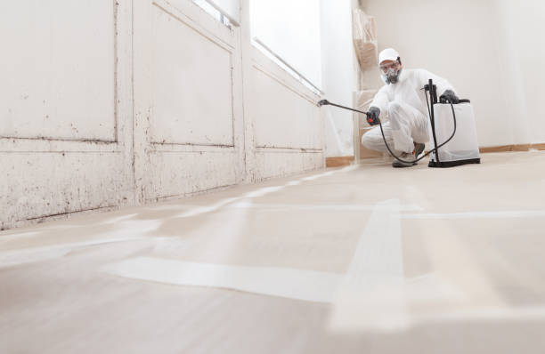 Black mold remediation team in Kennedyville